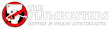 The Plumbusters LLC Tampa Plumbers